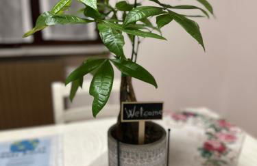 Grace Place Apartment - Self Checkin 24h - 15 min Malpensa - Free Parking - Foto 21