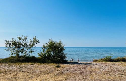 Uno z Balią Kopalino - Foto 38