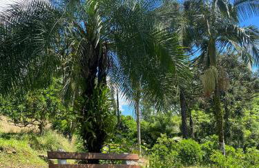 Canto da cascata - Foto 27