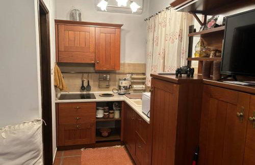 Οξυγόνο Πέτρινο εξοχικό στη Βυζίτσα Πηλίου - Foto 8