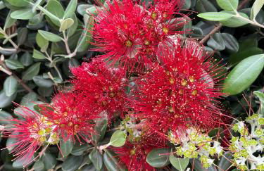 Villa das Hortas - modern villa at Silvercoast - Portugal - Photo 60