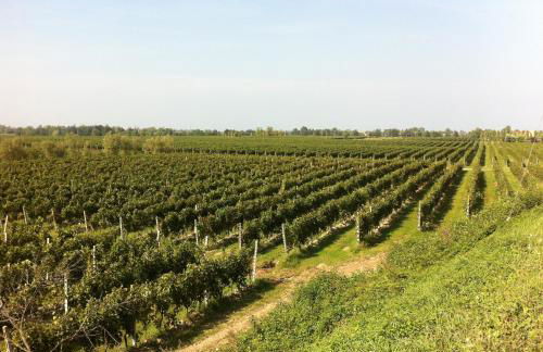 TABACHERA x10 Cascina with Private Pool Sirmione GARDA LAKE - Foto 21