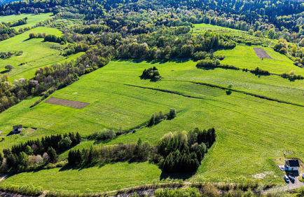 Domek Bella - Foto 12