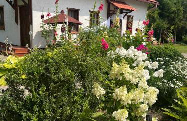 Kaczmarówka - Foto 28