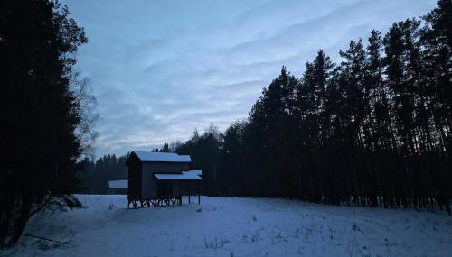 Domek dla Ptaków - Foto 5, Garden