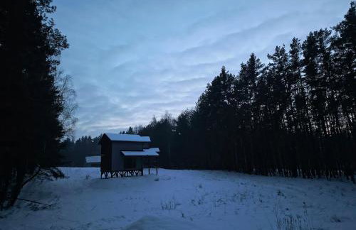 Domek dla Ptaków - Foto 5