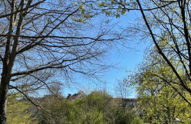 La Maison de l'Auzette - Photo 1