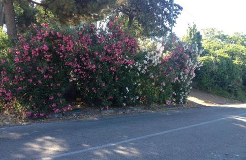 Villa Gianna - Foto 6
