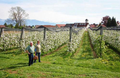 Ferienhof Schöngarten, Sonja & Stefan Büchele GbR - Foto 25
