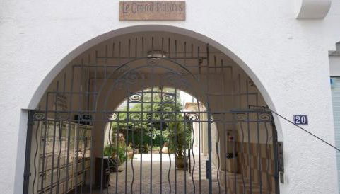 Le Grand Palais - Photo 5