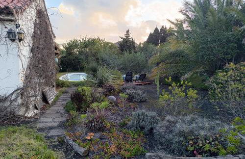 AAA Bandama Lago - Foto 13