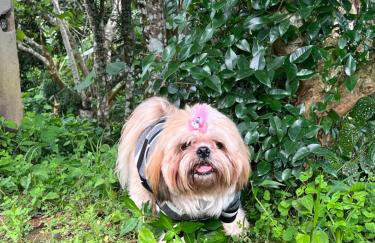 Chalé Bella Vista - Foto 17