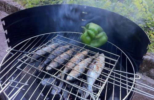 Eira das Carvalhas - Foto 13