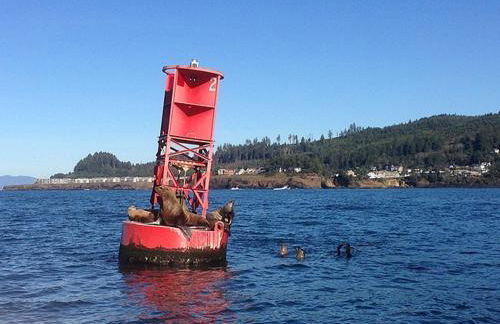 The Captains Lookout Sleeps 6, Hot Tub, Pet Friendly, Ocean View - Foto 58