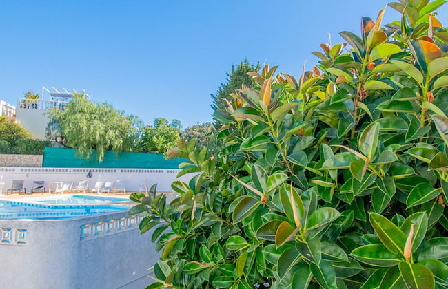 99 ADM Casa Mendes Fabulous Townhouse With Share - Foto 50