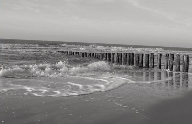 Studio in Domburg Near Beach and Nature Reserve - Photo 36