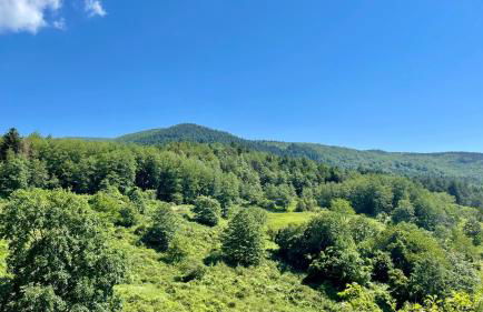 Casa fiordaliso - Foto 63