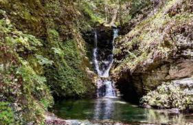 Guest house Elatochori - Foto 38