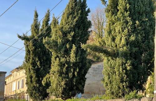 Ancien Château viticole - Foto 58