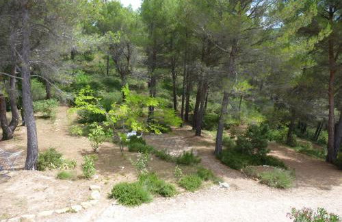 La Pinède du Barroux - Foto 18