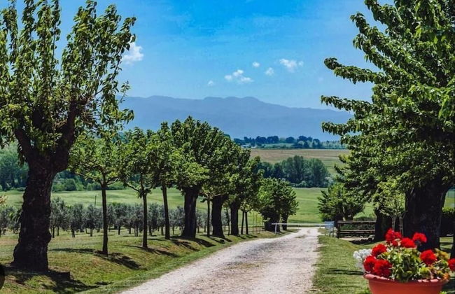 La Polledrara Relais di Campagna - Foto 27