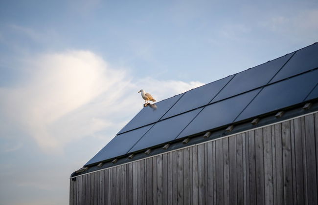 Lakefront Retreat w/ Hammock - Foto 17