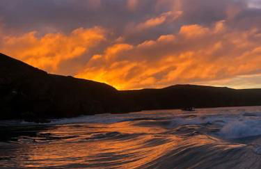 Charming coastal cottage - pet friendly! - Photo 48