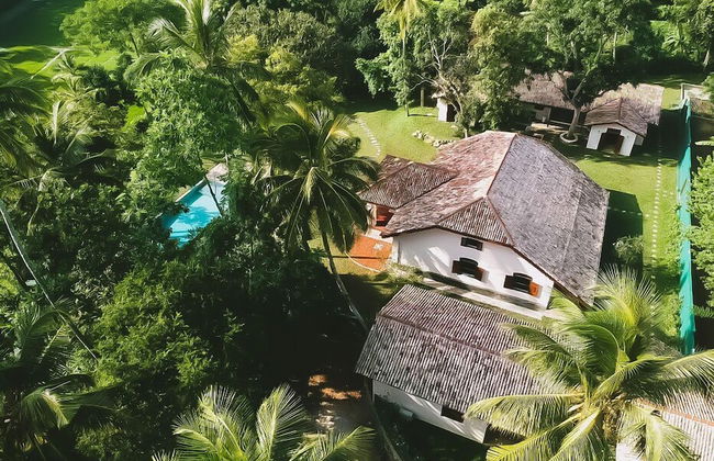 The Mugatiya - Foto 46