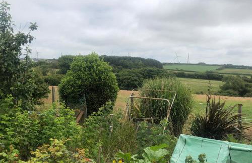 Little Valley View - Foto 14