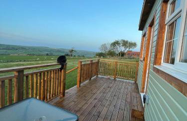 Cuddles & Bubbles Cozy Cabin with jacuzzi spa hot tub - Foto 29