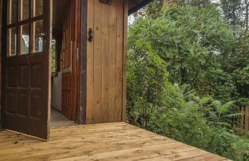 Kałamunka - Foto 26