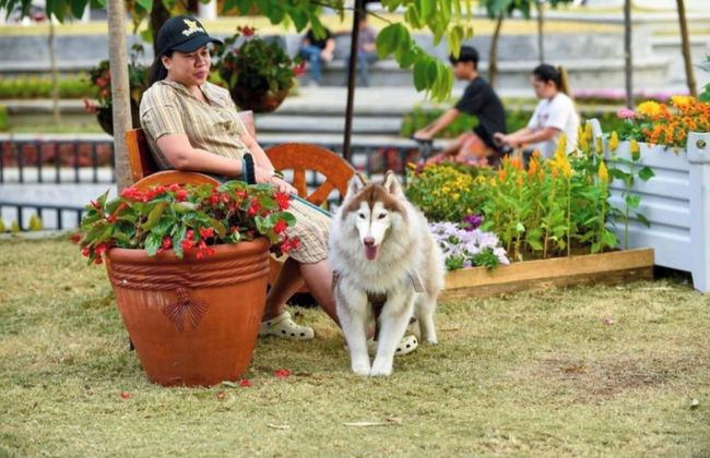 Pandora's Nest - Foto 63