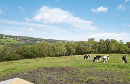 Y Beudy Bach - Foto 25