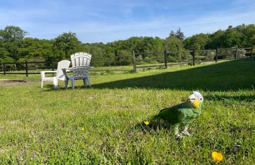 Gîte à la campagne Les Grandes Maisons Espace jacuzzi hammam SPA - Photo 28