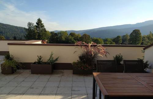 Apratmán Julie – Bavorská Ruda - Foto 16