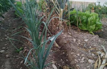 Casa Lorena - Foto 17