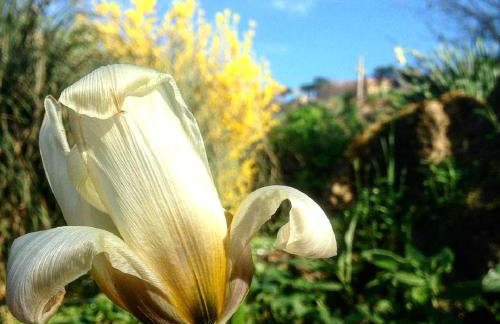Podere La Vigna Locazione Turistica - Photo 32