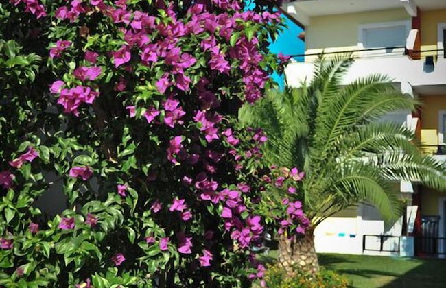 Kapsohora Inn Hotel - Photo 15