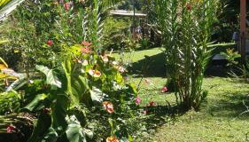 Casa em Paraty parati - Foto 2