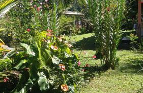 Casa em Paraty parati - Foto 2