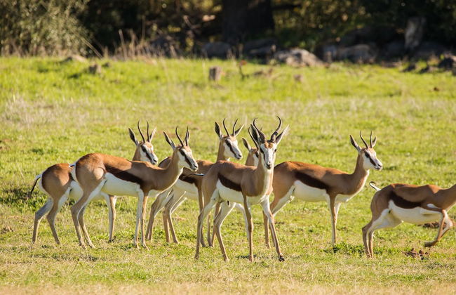 Mountain Cabin - Foto 50