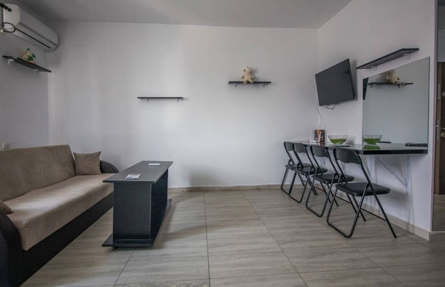 Impeccable 1-bed Studio in Roșu - Foto 12