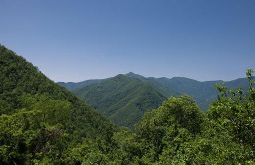 La casa nel bosco-senza auto - Foto 28