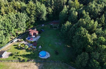 Szumią Dęby - Marcyporęba - Photo 30