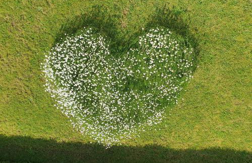 Am Kapfblick - Foto 24