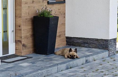 Domki pod gwieździstym niebem - Foto 45