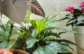 Aguamarina - Photo 13