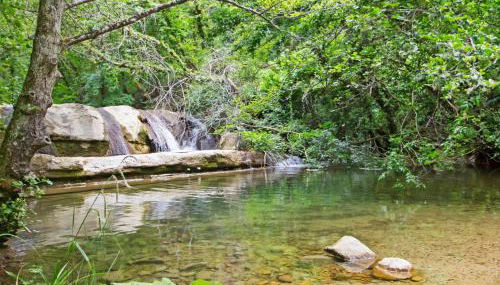 Holiday Home La Valchiera by Interhome - Foto 5