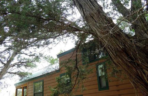 Peaceful Pet-Friendly Cabin Rental in San Antonio Countryside, Texas - Foto 17