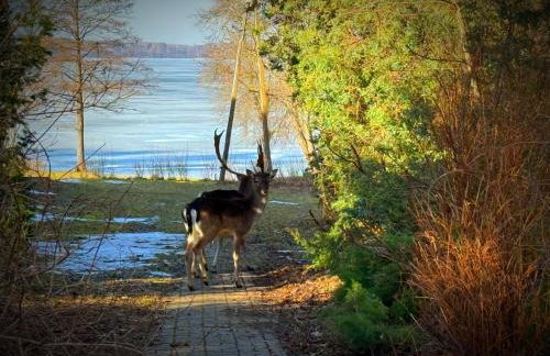 Mazurski Apartament - Foto 42